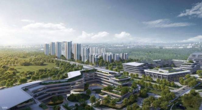 售楼处发布合肥伟星星遇光年奢华生活标杆九游会网址是多少盛大开幕▷伟星星遇光年(图2)